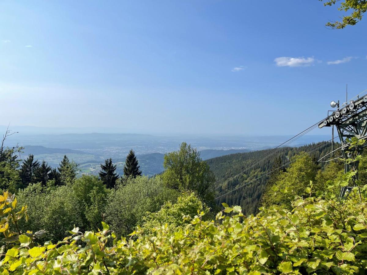 Neue Ferienwohnung Mit Whirlpool Und Sauna In Der Residenz Grafenmatt Inklusive Hochschwarzwaldcard Feldberg  Exterior foto