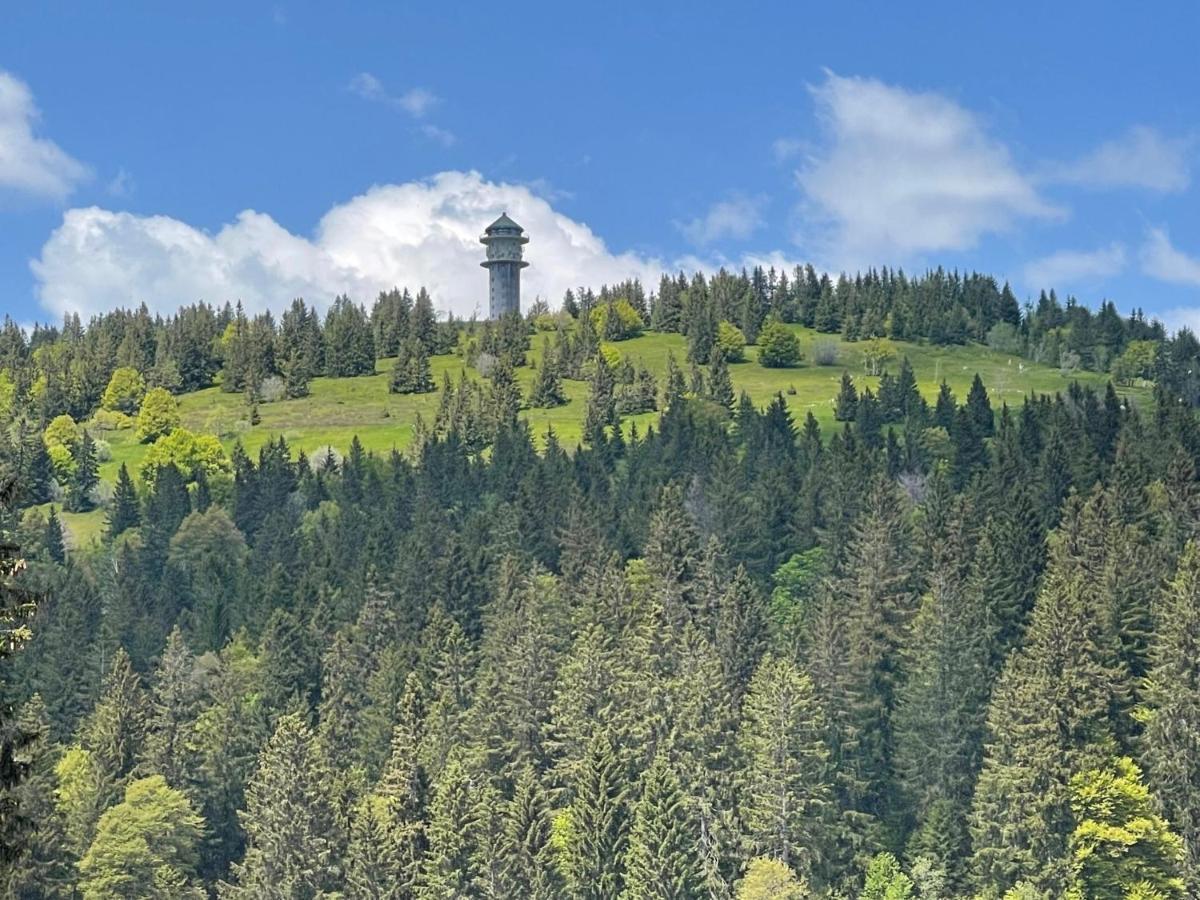 Neue Ferienwohnung Mit Whirlpool Und Sauna In Der Residenz Grafenmatt Inklusive Hochschwarzwaldcard Feldberg  Exterior foto